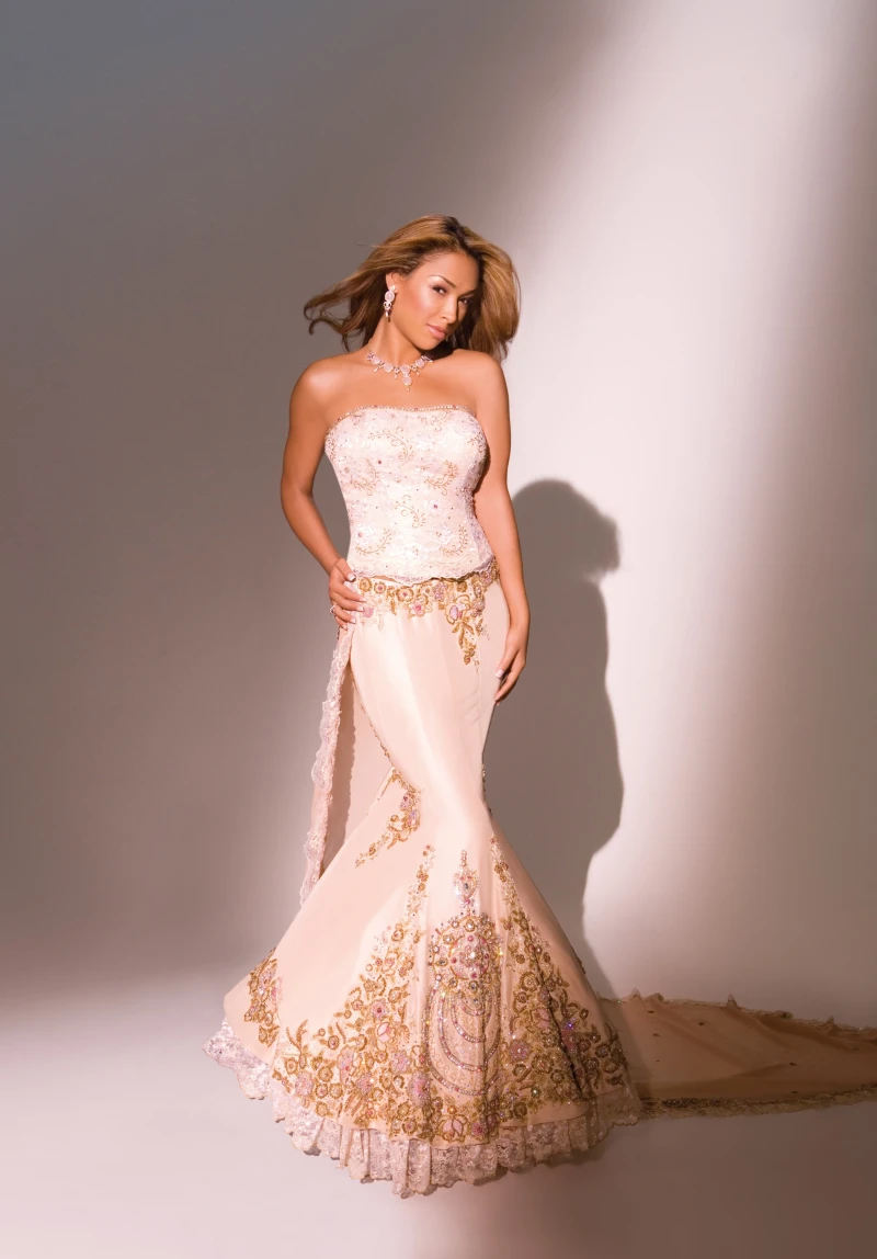 Soiree Champagne Corset and Skirt