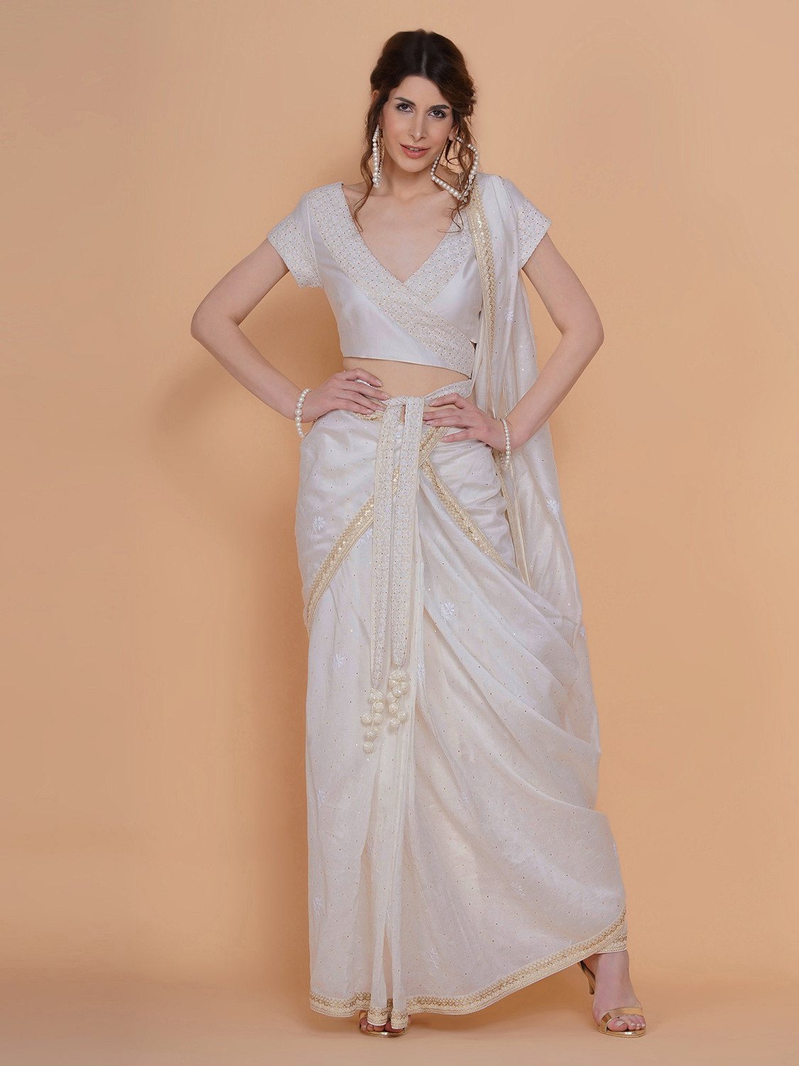 Ethereal Chikankari Saree & Blouse